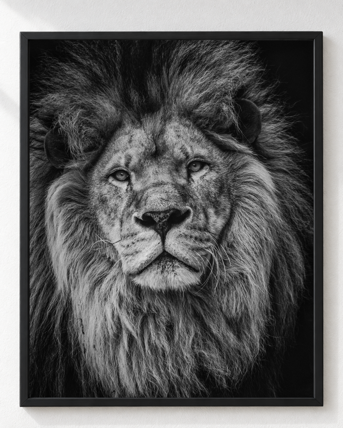 Cuadro de Retrato de León en Blanco y Negro