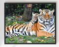 Cuadro de Dos Tigres Descansando