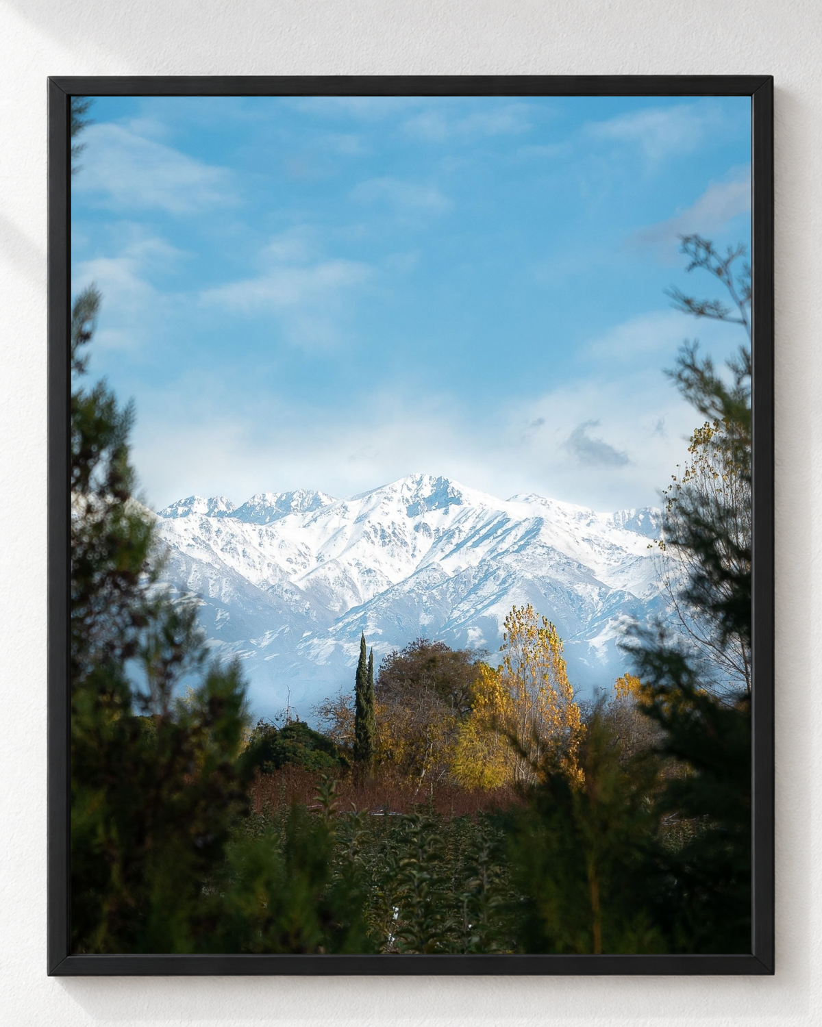 Cuadro de Cordillera Nevada