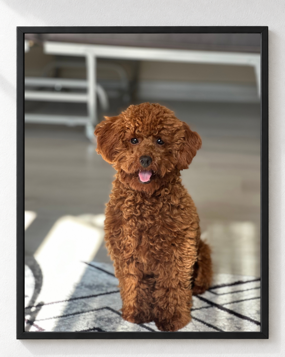 Cuadro de Perro Poodle Toy