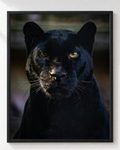 Cuadro Premium de Pantera Negra