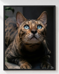 Cuadro de Gato Bengalí