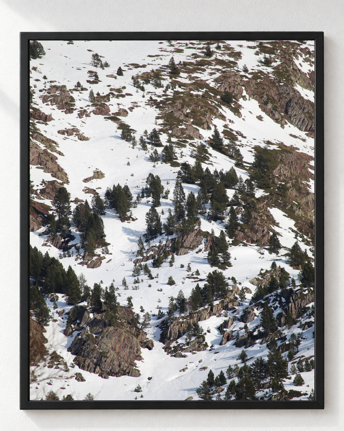 Cuadro de Nevada con Pinos