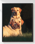 Cuadro de Dos Perros Labrador Retriever al Atardecer