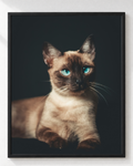 Cuadro de Gato Siamés