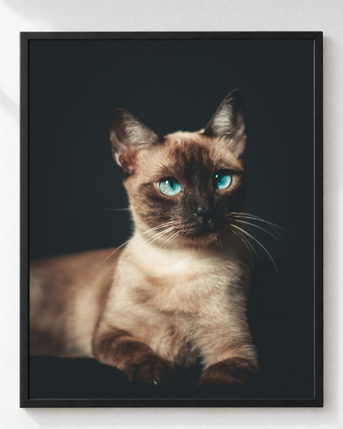 Cuadro de Gato Siamés