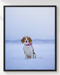 Cuadro de Perro Beagle