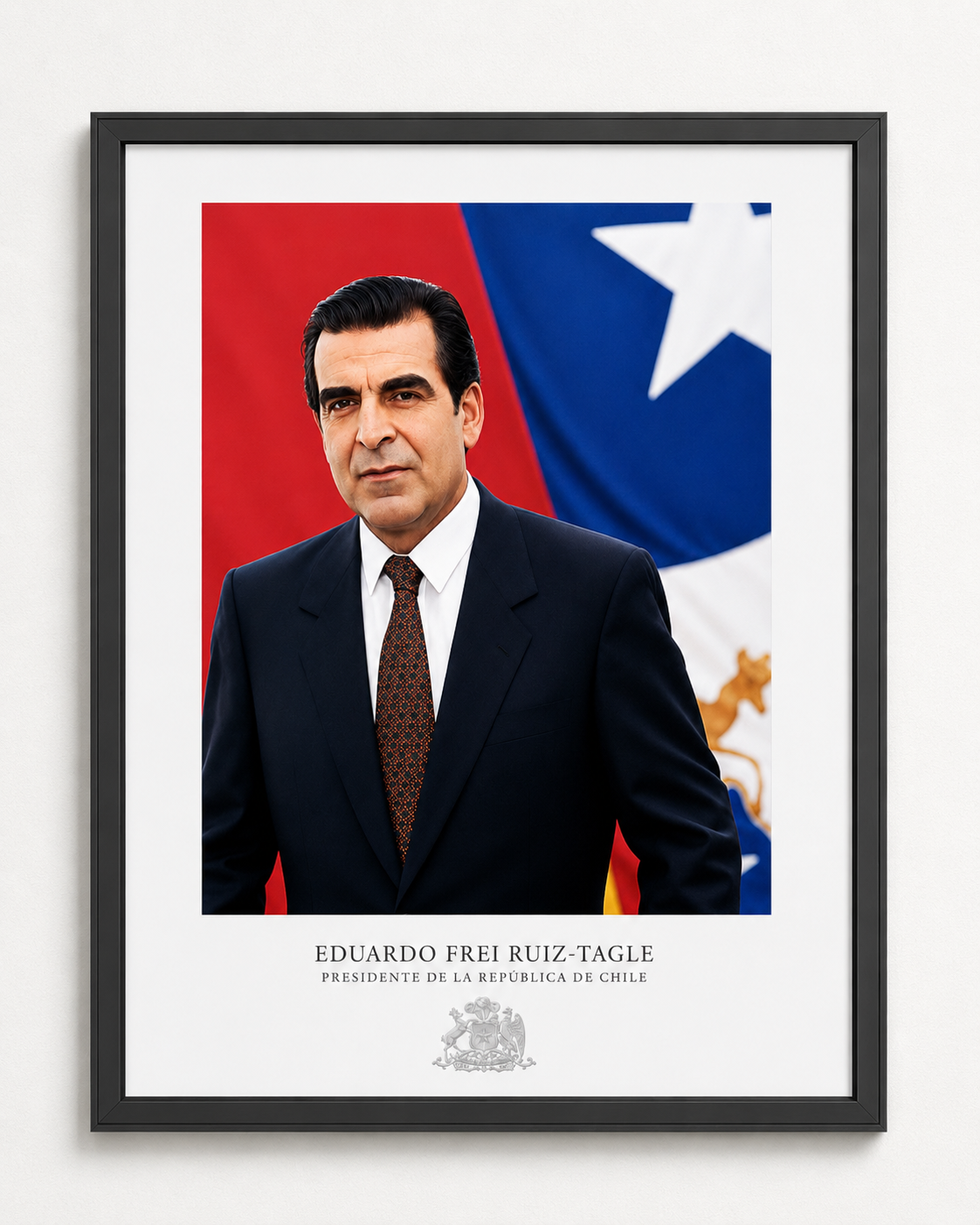 Cuadro Presidencial Eduardo Frei Ruiz-Tagle