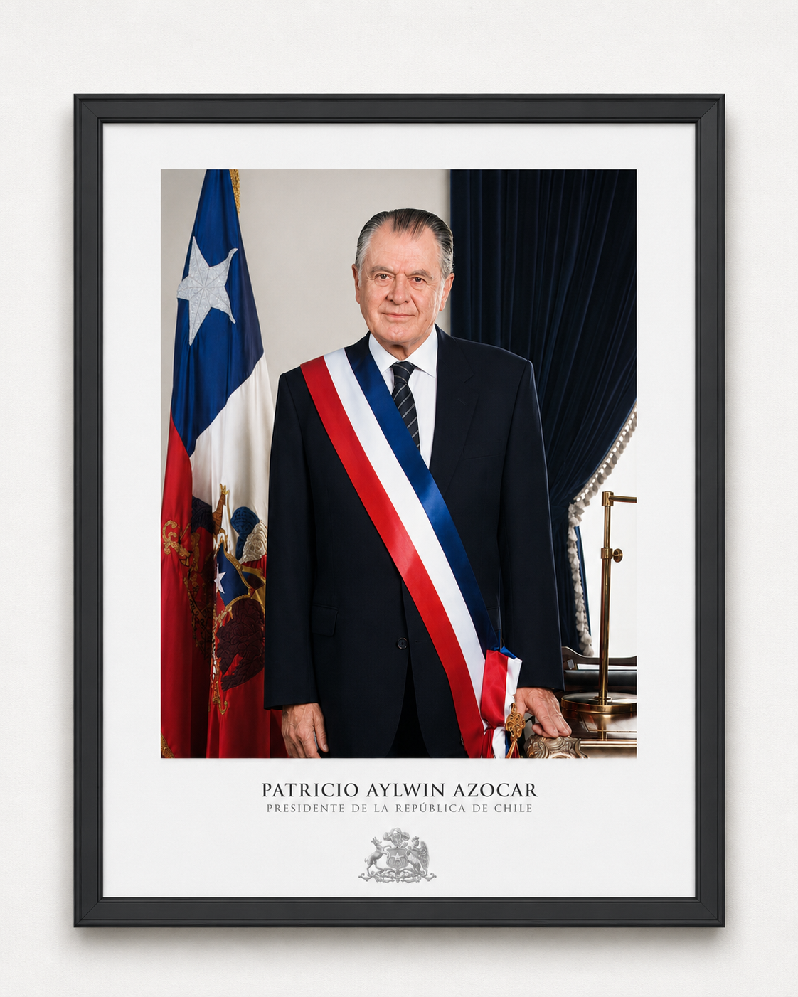 Cuadro Presidencial Patricio Aylwin Azocar
