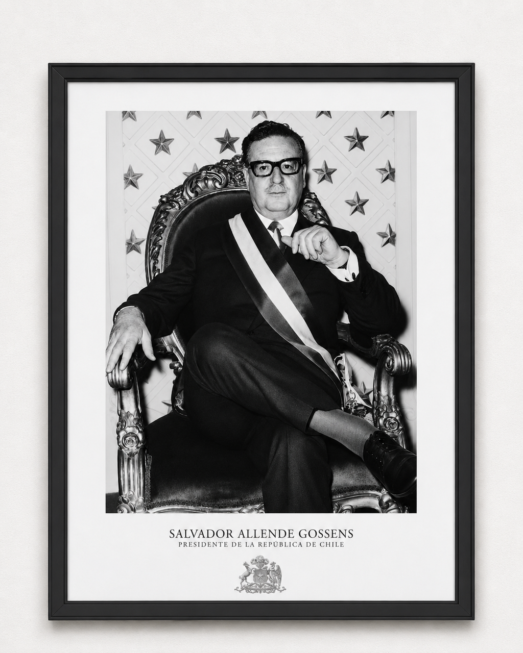 Cuadro Presidencial Salvador Allende Gossens