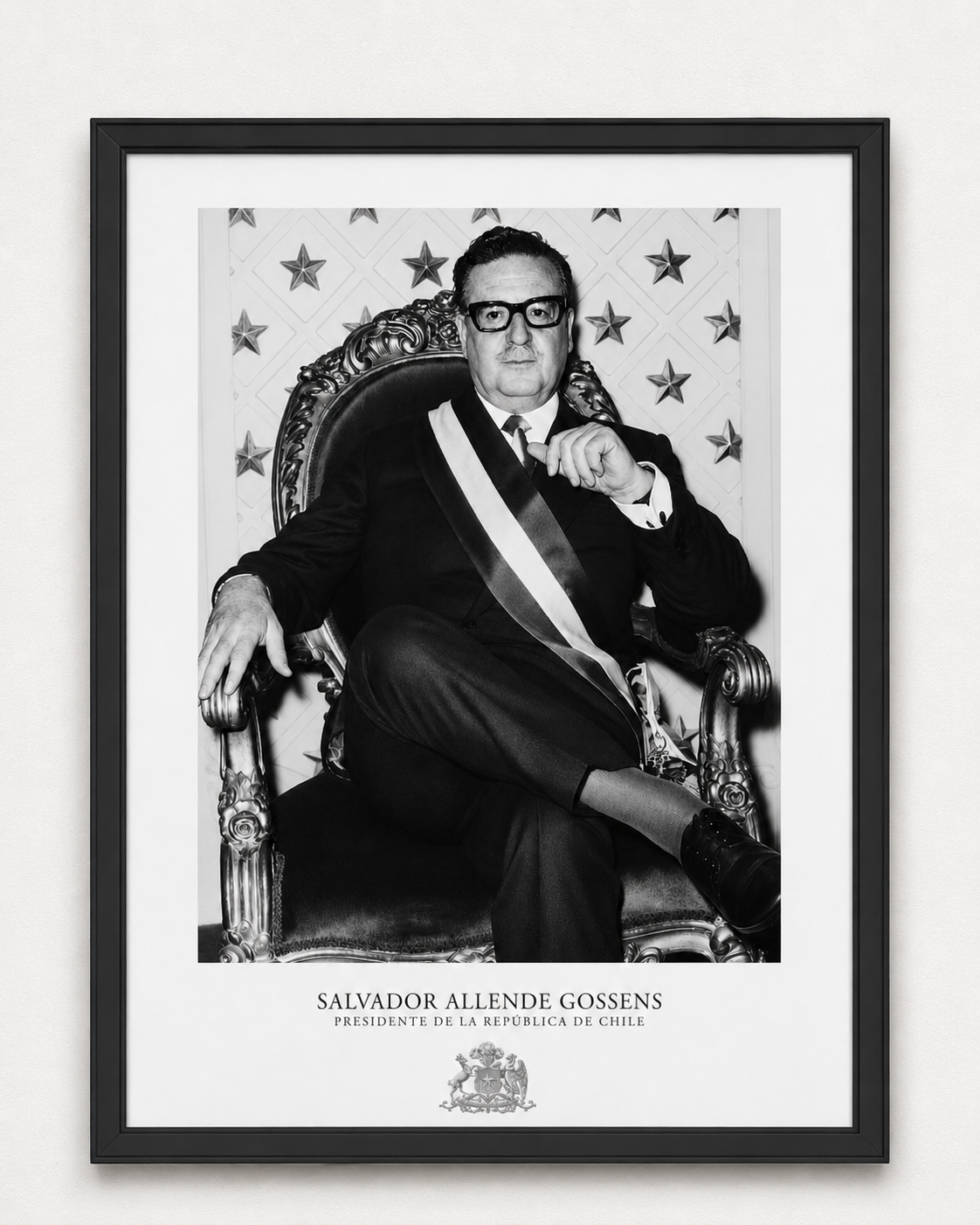 Cuadro Presidencial Salvador Allende Gossens